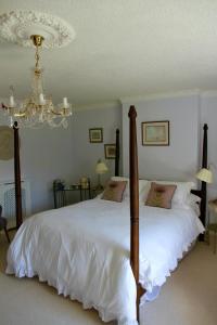 隆霍斯雷Thistleyhaugh farmhouse的一间卧室配有两张床和吊灯。