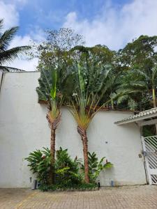 博西坎加Casa nova com 3 quartos, equipada com Ar Condicionado, TV, Internet e Área de Lazer Completa - Boiçucanga的两棵棕榈树,在白色墙前