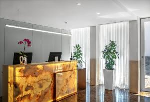 布拉加Hotel Moon & Sun Braga的大堂设有书桌和两株盆栽植物