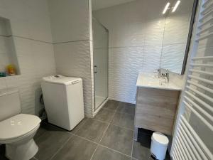 阿尔比YVES SAINT LAURENT/ COCO CHANEL的浴室配有卫生间、盥洗盆和淋浴。