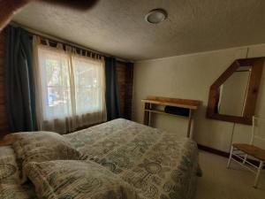 塔尔卡Hostal Macal的一间卧室设有一张床、一个窗口和一面镜子