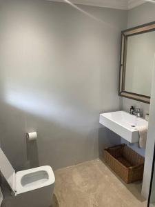 GillittsContemporary & Spacious Courtyard Unit的浴室配有白色卫生间和盥洗盆。
