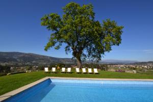 蓬德利马Casa de Cartemil的一个带椅子和树的游泳池