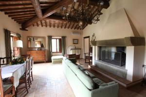 蒙特普齐亚诺Agriturismo San Gallo的带沙发和壁炉的客厅