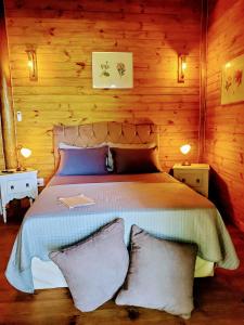 帕拉蒂Chalés Paris的一间卧室配有一张带木墙的大床