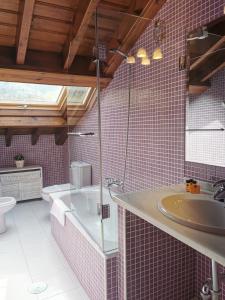 帕阿斯德兰斯埃尔吉迪奥乡村度假屋的一间带水槽、浴缸和卫生间的浴室