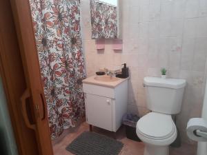 圣胡安Cozy Apartment across the San Juan Airport的浴室设有卫生间、水槽和淋浴帘