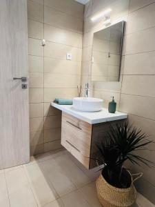 阿特米达Abuelo Apartment的浴室设有水槽、镜子和植物