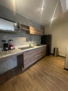 乔卢拉SOLSTICIO 212的厨房配有水槽和冰箱