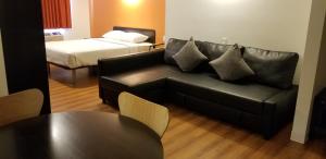Innisfail茵斯菲尔6号汽车旅馆的客厅配有沙发和1张床