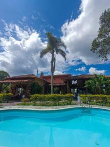 金巴亚Hotel del Campo的棕榈树屋前的游泳池