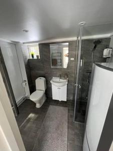 诺拉Fully equipped beautiful cottage的浴室配有卫生间、盥洗盆和淋浴。