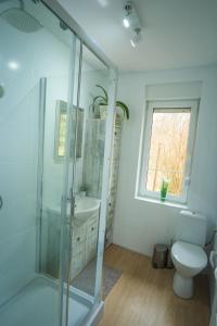 StobnickoKwintesencja Natury的带淋浴、卫生间和盥洗盆的浴室