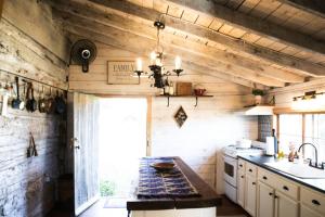 Historic 1850's Cosmic Cabin的厨房设有木墙、水槽和炉灶。