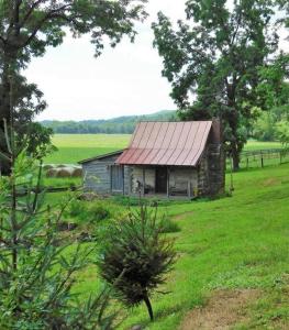 Historic 1850's Cosmic Cabin的田野上带红色屋顶的小房子