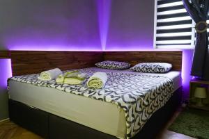 尼什Apartment Wonderland的一间卧室配有一张紫色灯床