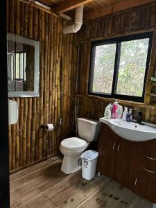 佩诺诺梅Aqeel cabin in the nature的一间带卫生间、水槽和窗户的浴室