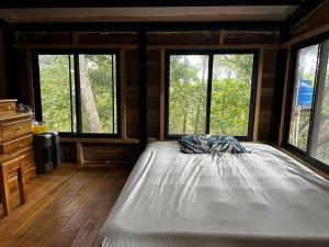 佩诺诺梅Aqeel cabin in the nature的配有窗户的客房内的一张大床
