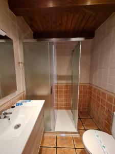 内尔皮奥Casas Rurales Los Enebros Nerpio的带淋浴、盥洗盆和卫生间的浴室