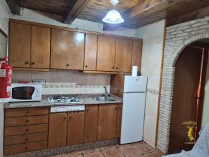内尔皮奥Casas Rurales Los Enebros Nerpio的厨房配有木制橱柜和白色冰箱。