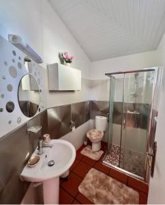 勒弗朗索瓦Villa Paradis的带淋浴、盥洗盆和卫生间的浴室
