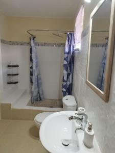 维约堡Arcadia House的一间带水槽、卫生间和镜子的浴室