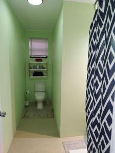 维约堡Arcadia House的绿色墙壁上带卫生间的浴室