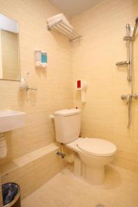 香港The Cultural Crashpad - 康乃馨旅館的一间带卫生间和水槽的浴室