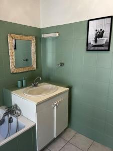 圣让迪布吕耶勒Petit paradis dans l'aveyron的浴室配有盥洗盆、镜子和浴缸
