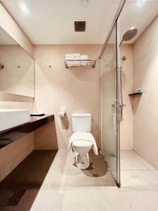 新加坡Park View Hotel的一间带卫生间和淋浴的浴室