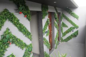 舍地Rudra Royals的墙上有绿色常春藤的建筑