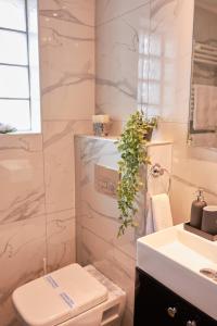 弗洛里纳Florina Sky Loft的浴室配有白色卫生间和盥洗盆。