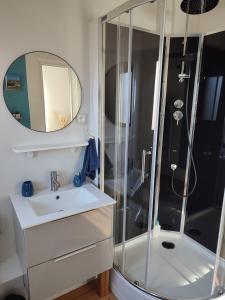 沙特尔L'Echappée Belle的带淋浴、盥洗盆和镜子的浴室
