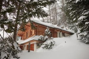 上陶恩MOUNTAINRANGER - Lodge的树林里积雪覆盖的房子