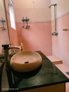 拉合尔Apartment near to Shaukat khanaam lahore的浴室设有卫生间和位于台面的盥洗盆。