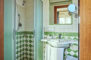 皮恩扎拉瓦雷皮克洛酒店的一间带水槽和淋浴的浴室