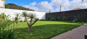 大里贝拉Magnolia Residence - In the Center of the Island的墙上的棕榈树