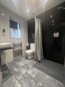 拉夫堡Charnwood Regency Guest House的浴室配有卫生间、盥洗盆和淋浴。