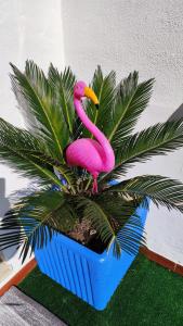 圣特奥多罗Casa Flamingo House的粉红色的塑料火烈鸟坐在植物顶部
