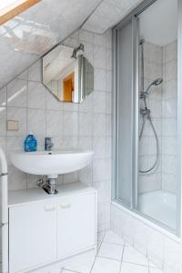 莫里茨堡Hof Türke的白色的浴室设有水槽和淋浴。