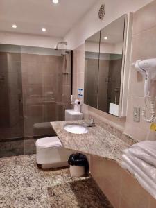 圣保罗都柏林酒店的一间带水槽、卫生间和镜子的浴室