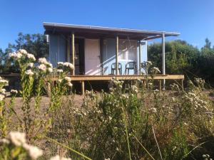 普利登堡湾Fynbos Tiny Home - Off Grid, Surrounded by Nature的一座白色的小房子,在田野上设有甲板