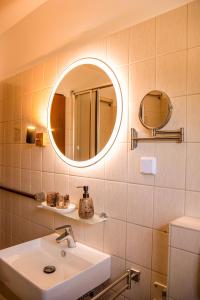巴特哈尔茨堡Viktoria‘s Ferienwohnung的一间带水槽和镜子的浴室