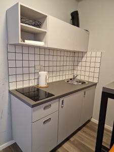 斯图加特MIDTOWN Apartments的一个带水槽和白色橱柜的小厨房