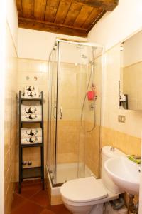 利沃诺LE STREGHE rooms e art con garage的带淋浴、卫生间和盥洗盆的浴室