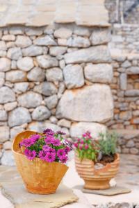 阿里奥波利斯Lithos Stone Suites的石墙前桌子上两盆花