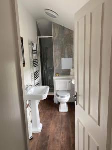 林德赫斯特The New Forest Inn的浴室配有白色卫生间和盥洗盆。