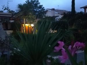 奥斯蒂亚·安提卡图阿奥斯提亚安提卡公寓的花园美景,夜晚有鲜花