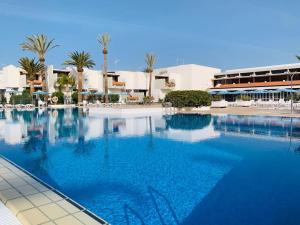 阿罗纳Tenerife Primavera的度假村内的大型蓝色海水游泳池