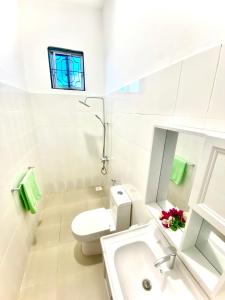江比阿Dragonfly的白色的浴室设有卫生间和水槽。